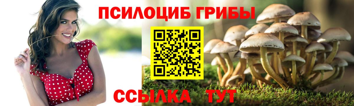 Псилоцибиновые грибы Cubensis  Вход с VPN  Галлюциногенные грибы GOLDEN TEACHER  Дербент 